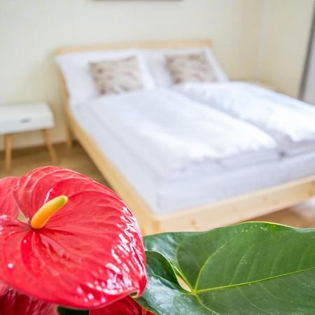U Cmelaku Hotel แชร์เวนาโวดา ภายนอก รูปภาพ